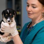 cabinet-veterinar-non-stop-sector-4