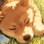 tablouri-pe-numere-caini